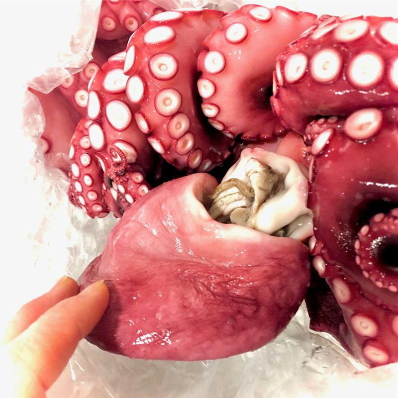 真蛸 たこ チルドでお届け (ボイル済み) 5kg (4杯入り) 特大サイズ 色々な料理にお使いいただけます