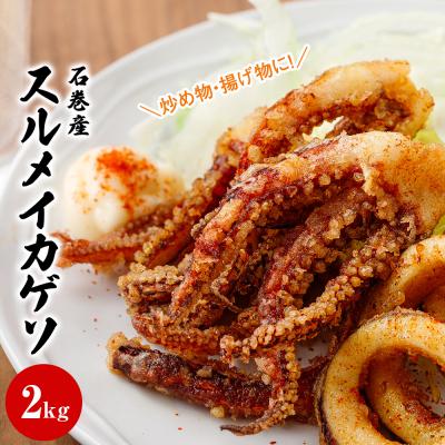 ふるさと納税 石巻市 石巻産スルメイカ ゲソ(2kg)