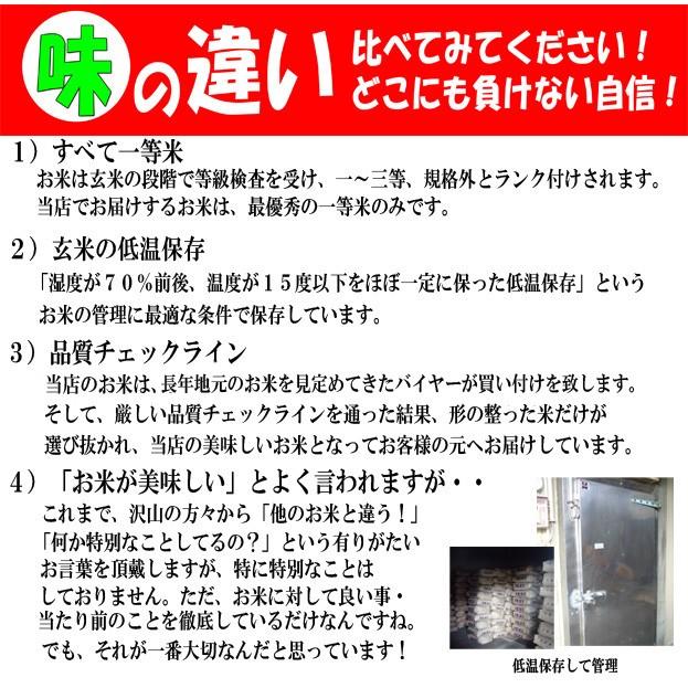 令和5年産 新米 お届け中! つや姫 10kg (5kg×2袋) 山形県産 お米 白米 米 こめ ポイント消化 産地直送 特別栽培米