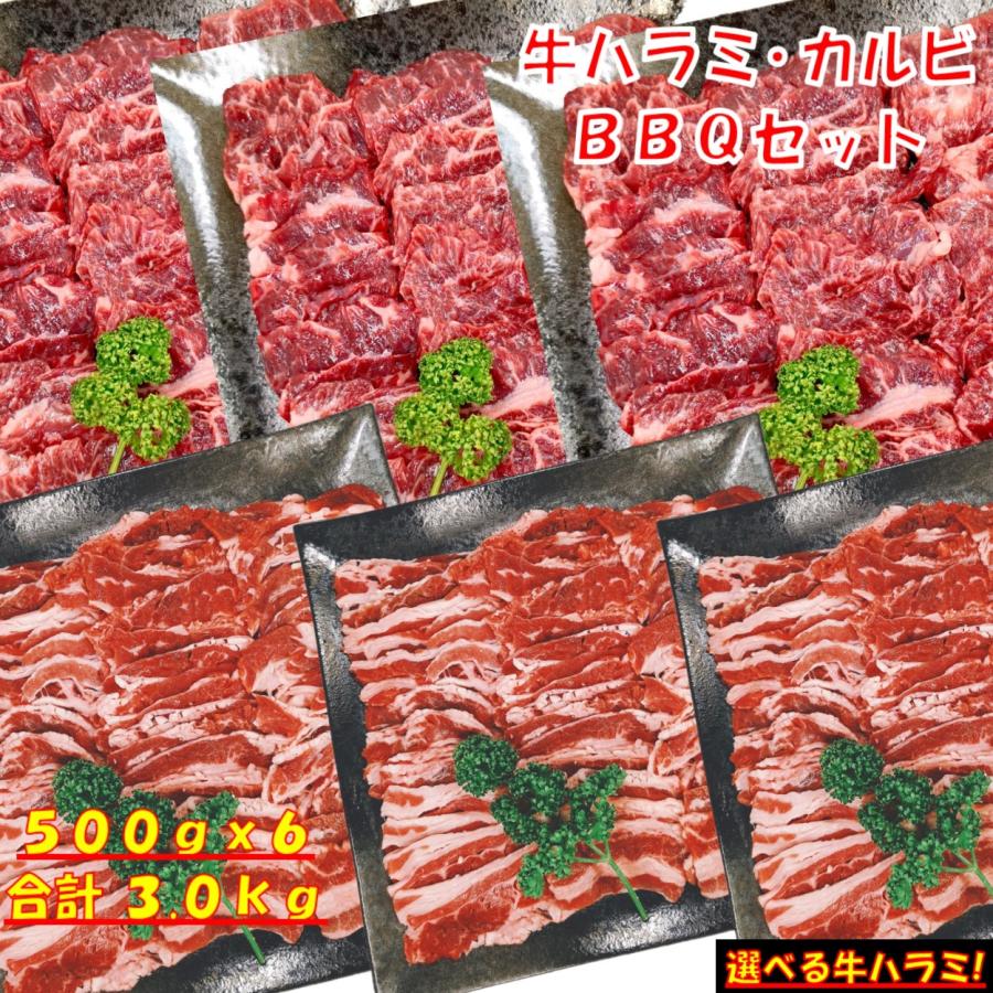 肉 バーベキュー 食材 牛肉 焼肉セット バーベキュー 肉 ハラミ BBQ 肉 バラ カルビ バーベキューセット 肉 BBQ 食材 焼肉 牛丼 3kg 8〜12人前