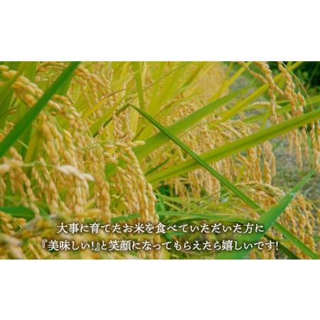 ふるさと納税 令和5年産 新米  夢しずく 無洗米 4kg 2kg×2袋 )真空 真空パック 米 お米 .. 佐賀県江北町