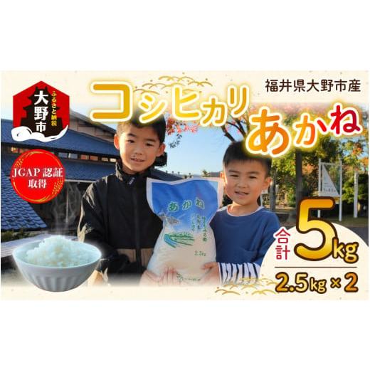 ふるさと納税 福井県 大野市 福井県大野市産 JGAP認証 コシヒカリ「あかね」5kg（2.5kg×2）小分け