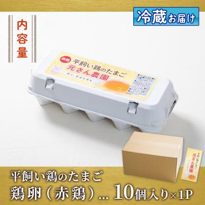 ふるさと納税 佐伯市  元さん農園 平飼い赤鶏のたまご (計10個)