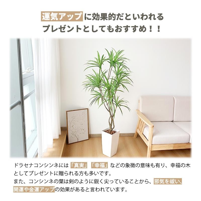 RAKU フェイクグリーン 人工観葉植物 人工観葉樹 造花 ドラセナ 鉢付 ...