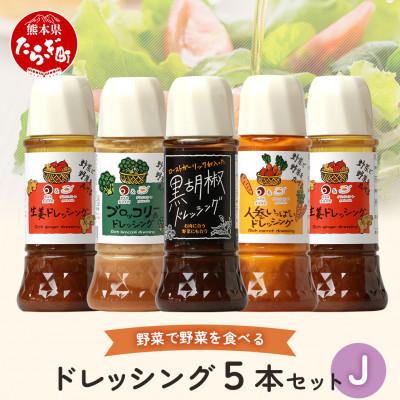 ふるさと納税 多良木町 ドレッシング　5本セットJ