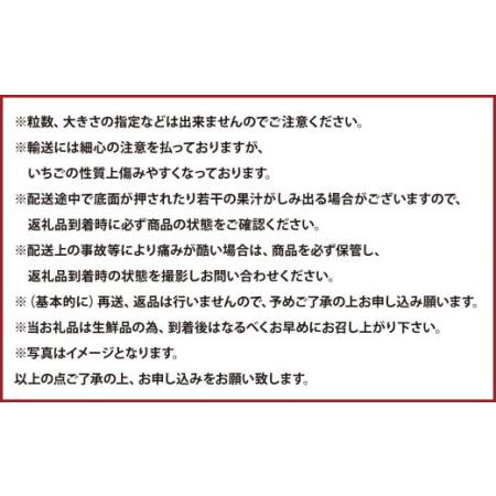 ふるさと納税 あまおうDX 約280g×4パック 福岡県遠賀町