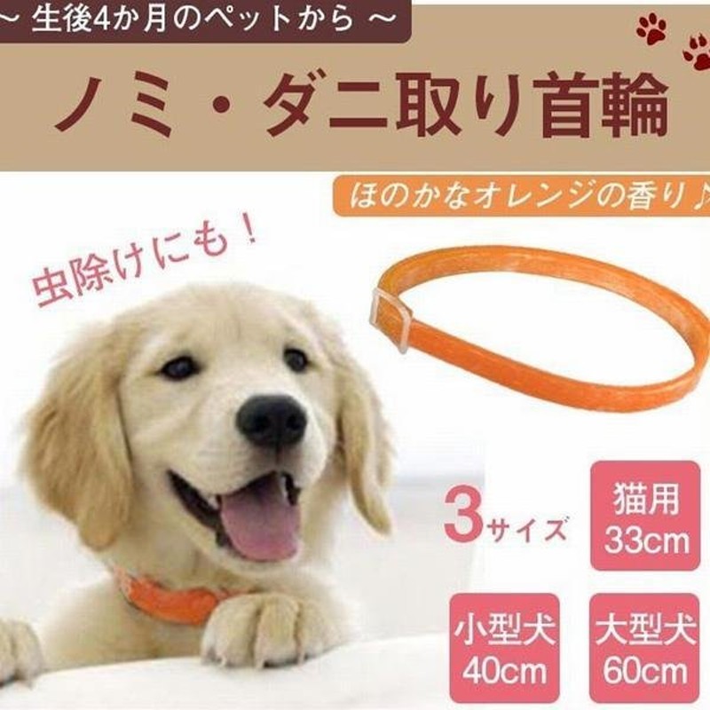 ストア 犬 ダニーム 猫 ダニ 虫除けスプレー ２００ｍｌ ペット用ダニ除去剤スプレー お手入れ、