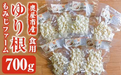 1945 ほくほくしてほんのり甘いゆり根 700ｇ(100ｇ×7袋)