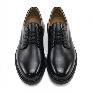 Dangolbeuro Danggol Bro 男士正裝皮鞋 經典德比鞋 SIWFF  黑色的  27cm