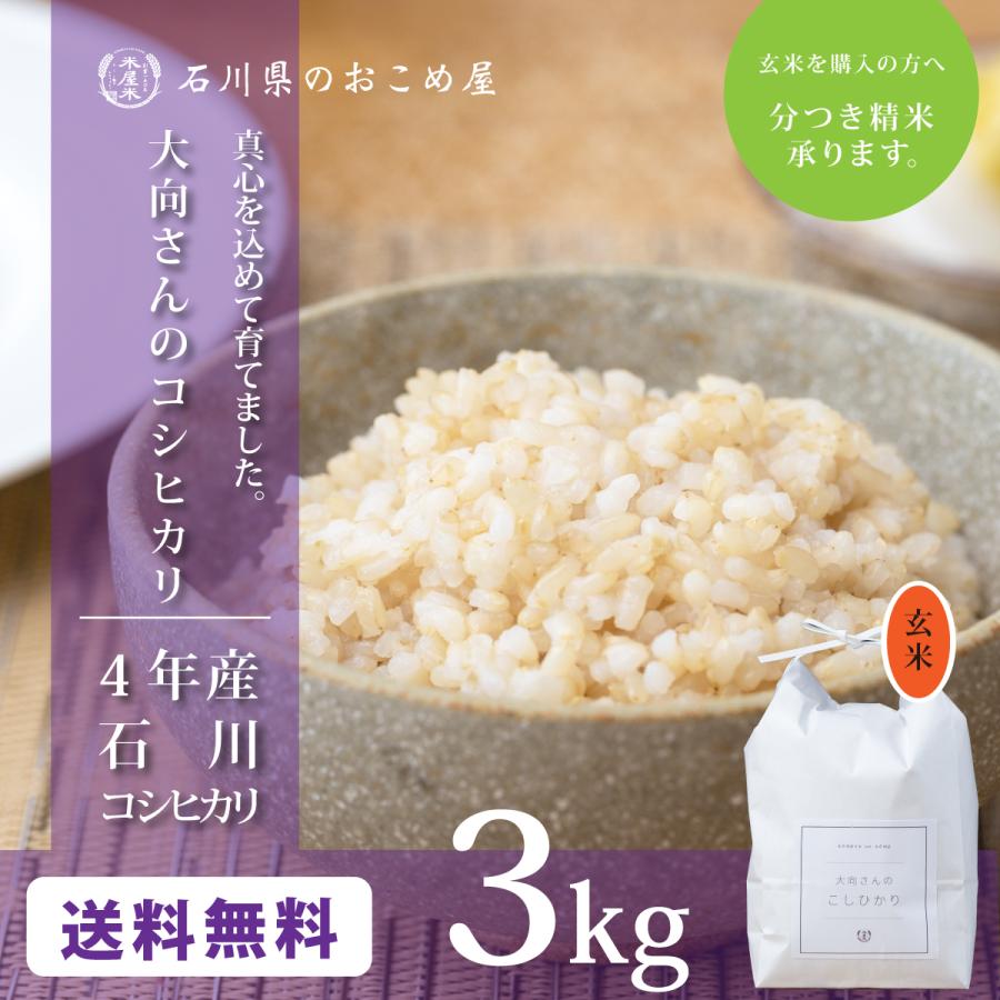 玄米 コシヒカリ 3kg 石川県産 3キロ 令和5年産 新米 大向さんのこしひかり