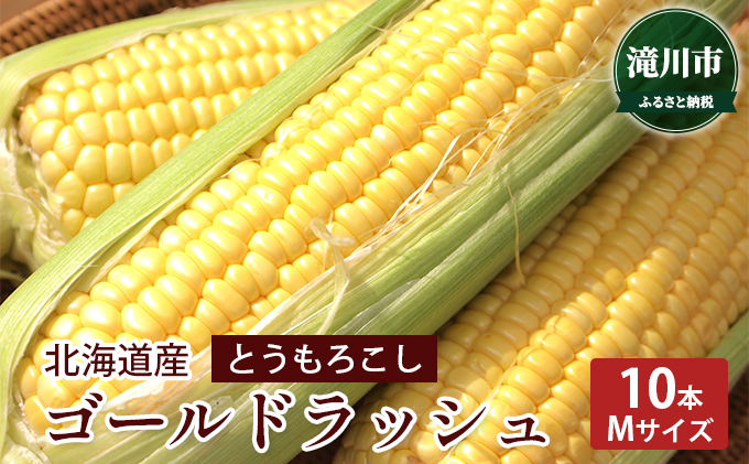 北海道産 とうもろこし ゴールドラッシュ 10本(Mサイズ)＜2024年8月上旬～順次出荷＞｜北海道 滝川市 とうきび トウモロコシ 2024年発送 先行受付 野菜 やさい