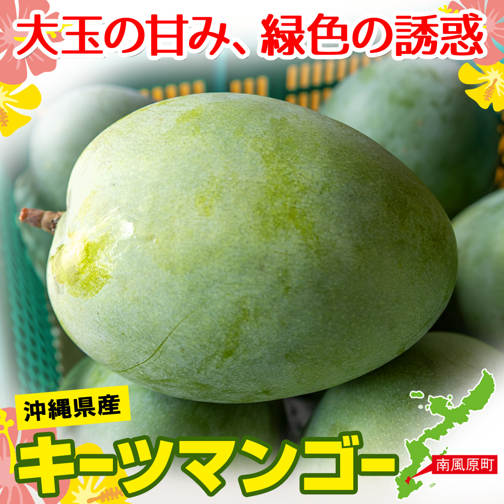 南風原農園　丹精込めた「キーツマンゴー」2kg