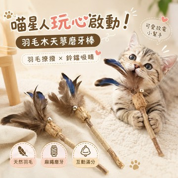 貓咪磨牙玩具 羽毛鈴鐺 天然木天蓼 磨牙紓壓 羽毛木天蓼磨牙棒 貓咪逗貓玩具 木天蓼棒 逗貓棒 羽毛鈴鐺逗貓玩具