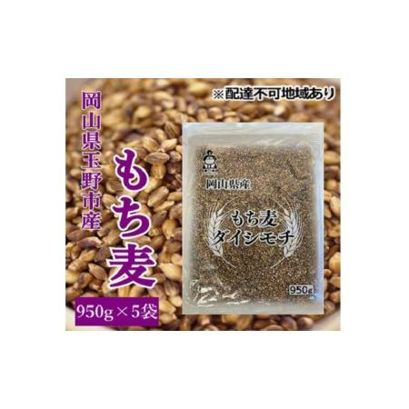 ふるさと納税  岡山県玉野市産 もち麦 ダイシモチ 950g×5袋 岡山県玉野市