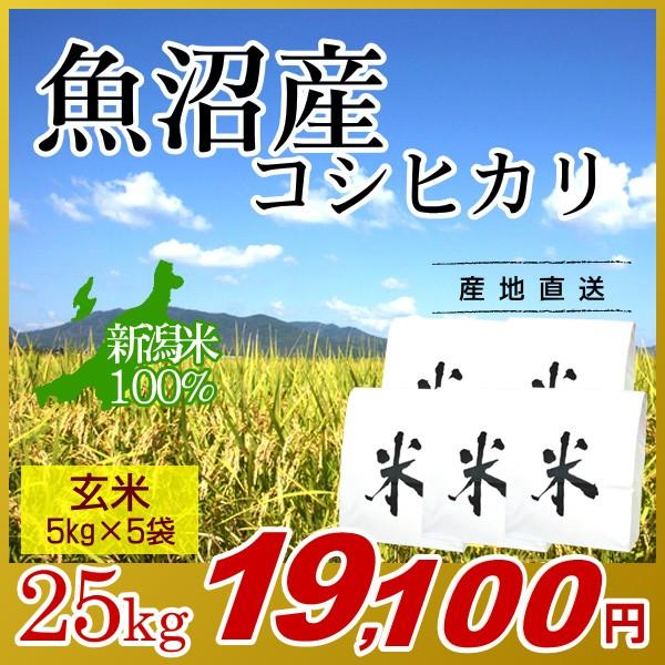 魚沼産コシヒカリ 玄米 25kg(5kg×5袋)／新米 米 お米 新潟米 新潟 コシヒカリ 南魚沼産 魚沼 高級米 ブランド米