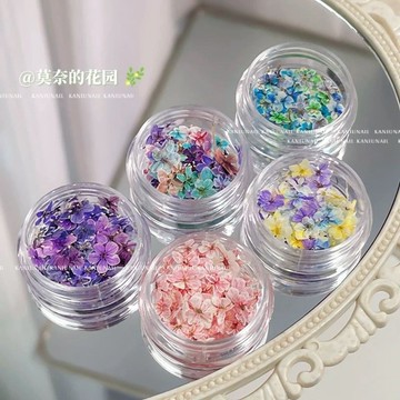 ✨台灣出貨✨美甲干花混裝素材莫奈花園迷你五瓣花材料紫色小碎花diy指甲飾品
