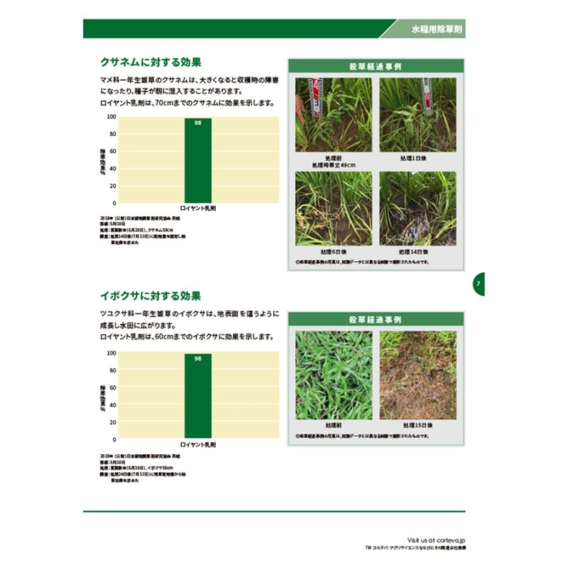 水稲用中後期茎葉処理除草剤「ロイヤント乳剤 」1L | LINEブランドカタログ