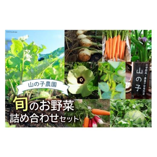 ふるさと納税 宮崎県 日向市 山の子農園の化学肥料・農薬をつかっていない旬のお野菜詰め合わせセット [山の子農園 宮崎県 日向市 452060149]