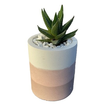 盞樂空間 中圓底水泥盆 10.5 x 9cm 油墨山嵐配色 多肉植物  1個