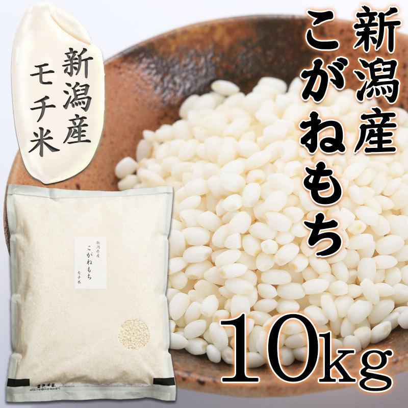 令和5年 もち米 こがねもち 10kg 5kg×2 送料無料 新潟県産 コガネモチ 新潟産 餅米 餅 米 お米 コメ おこわ 赤飯 美味しいお餅 10キロ