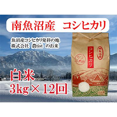 ふるさと納税 南魚沼市 南魚沼産 コシヒカリ 白米3kg 全12回