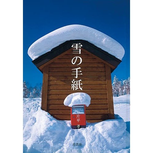 雪の手紙 片平孝