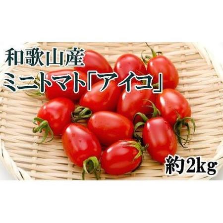 ふるさと納税 和歌山産ミニトマト「アイコトマト」約2kg（S・Mサイズおまかせ） 和歌山県和歌山市