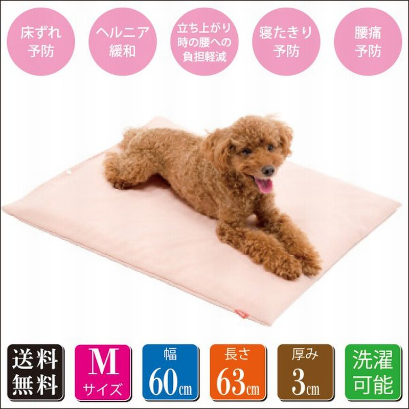 トンボ 床ずれ防止高反発マットレス Mサイズ 小型犬 中型犬 ヘルニア緩和 立ち上がり補助 腰痛予防 介護 老犬 寝たきり ベッド 通販 Lineポイント最大get Lineショッピング