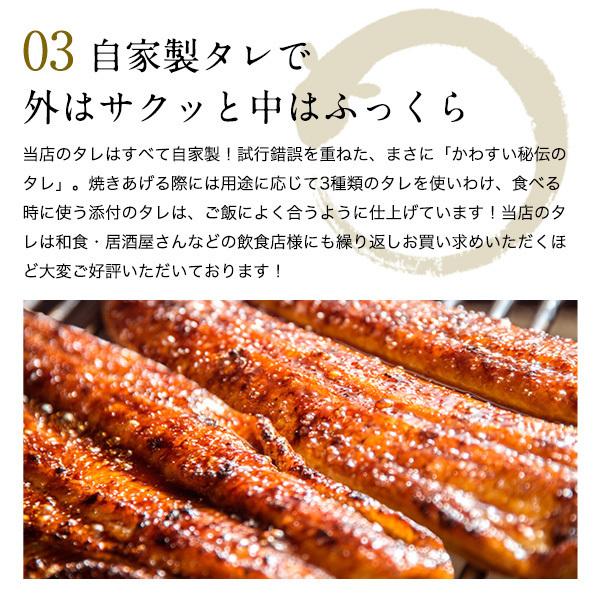 送料無料 うなぎ屋かわすい 国産 きざみうなぎ 大盛りタイプ 100g 複数購入クーポンあり ウナギ 鰻