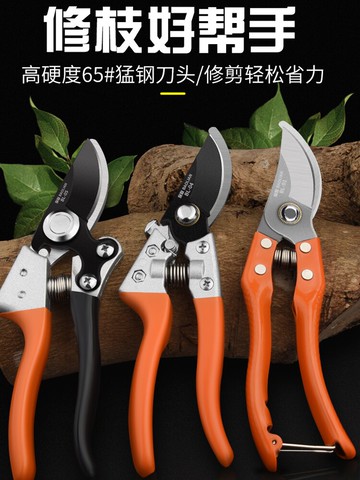 園藝剪修枝剪枝剪花剪果樹剪刀園林剪樹枝修花粗枝剪花藝剪子家用