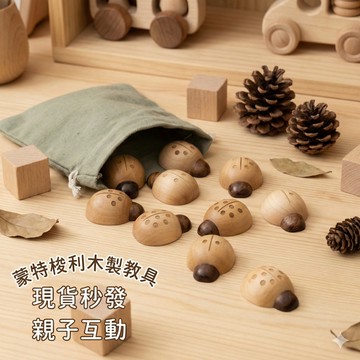 台灣現貨〔幼兒教具E2J】10件組木質小瓢蟲 ♥ 幼兒益智教具積木 數學早教認知玩具 木製啟蒙學習