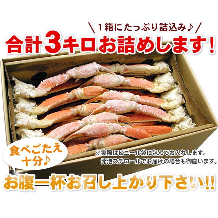 ズワイガニ足　大量3キロ （約8-13肩入り） 本ズワイガニ脚 ずわい蟹 北海道 お取り寄せグルメ 送料無料（沖縄宛は別途送料を加算）