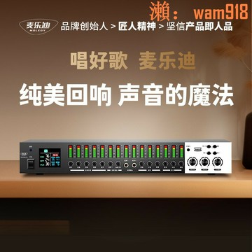 【可開發票】300 Pro前級效果器混響器專業k歌防嘯叫ktv音頻處理器