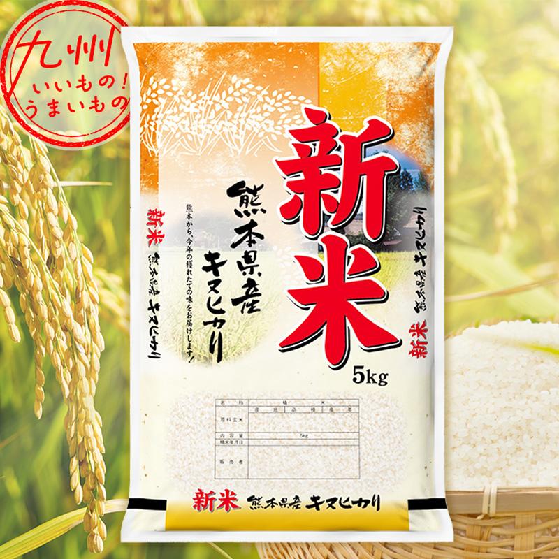 令和5年産 熊本県産 キヌヒカリ 5kg 米 精米 白米 お米 こめ 熊本 熊本