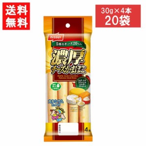 ニッスイ 濃厚チーズかまぼこ (30g×4本)×20袋 送料無料