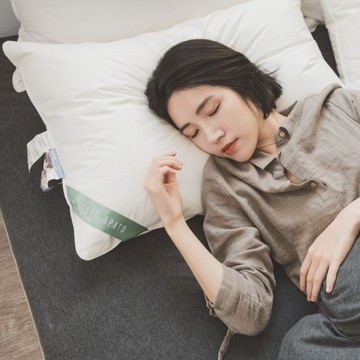 【翔仔居家】德國專利 物理防螨水洗枕-適中款 枕頭 可水洗枕 防螨 防塵 抗過敏 防螨枕頭 禮物推薦 入厝禮 喬遷禮物《快速出貨》