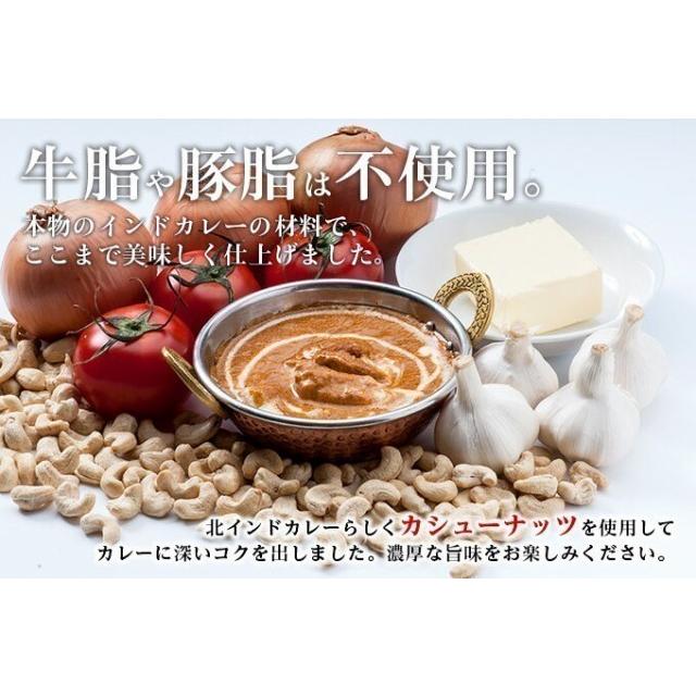 カレー パラックチキンカレー 180g×10袋 箱なし 送料無料 レトルト