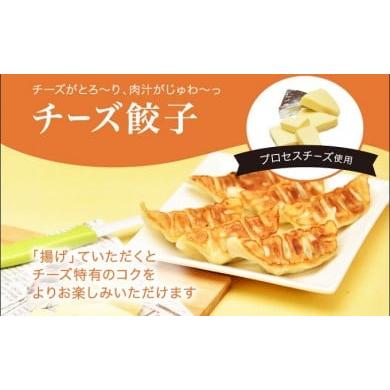 ふるさと納税 栃木県 さくら市 「宇都宮餃子館」チーズ餃子 960ｇ（４８個）≪ギョーザ 冷凍餃子 冷凍食品 グルメ 食品 惣菜 中華惣菜 点心 中華≫