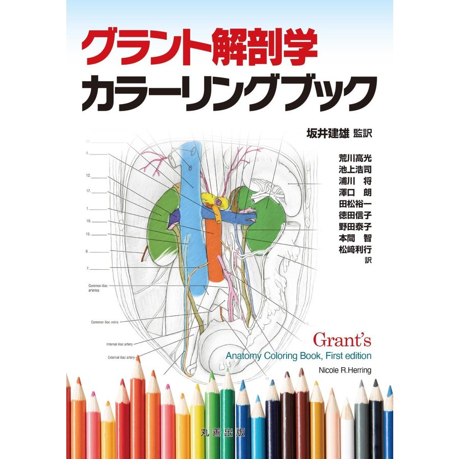 グラント解剖学カラーリングブック