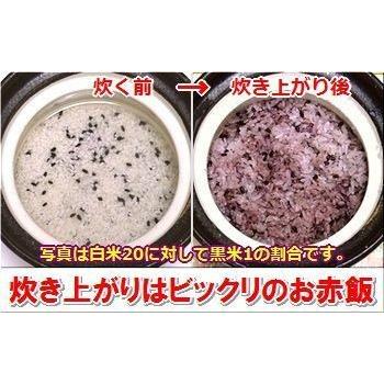 西表島産 黒米 200g×1袋 海のもの山のもの 沖縄 人気 健康管理 国産 土産 希少