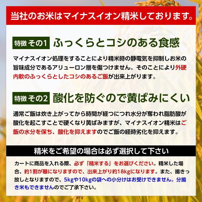 令和5年産 山形県産 コシヒカリ 玄米20kg