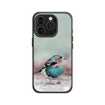 iPhone 16 Pro SolidX 黑 - Julien Tabet - 水鳥