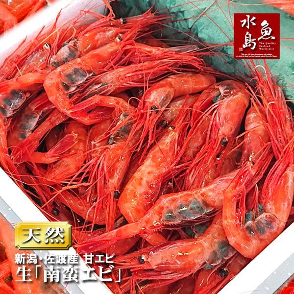 甘エビ「新潟・佐渡産 南蛮エビ」獲れたて生・刺身用 大サイズ1kg（冷蔵）