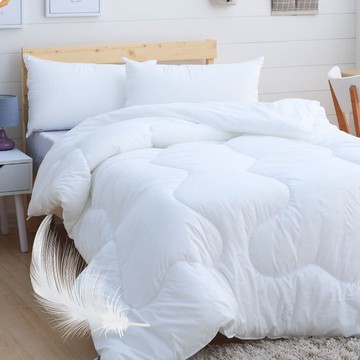 【ELVIS愛菲斯】輕柔抗菌羽絲絨冬被(雙人)