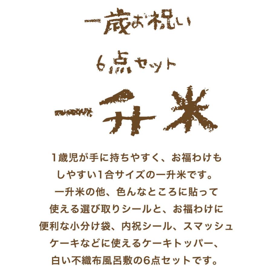 一升米 1歳 一歳 誕生日 お祝い 送料無料 名入れ 誕生日祝い 一升餅 小分け