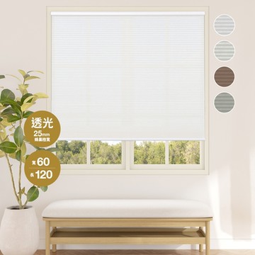 【REGAL 芮格居家】 蜂巢簾無段下開60X120cm-格寬25mm透光 (12BOTTLE窗簾/無拉/風琴簾/隔熱)