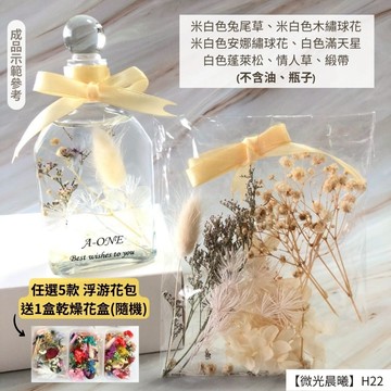【A-ONE】浮游花DIY花卉包 乾燥永生花 不凋滿天星 捧花蓬萊松 富貴豆 乾燥花束 不凋花 繡球花 H22微光晨曦_廠商直送