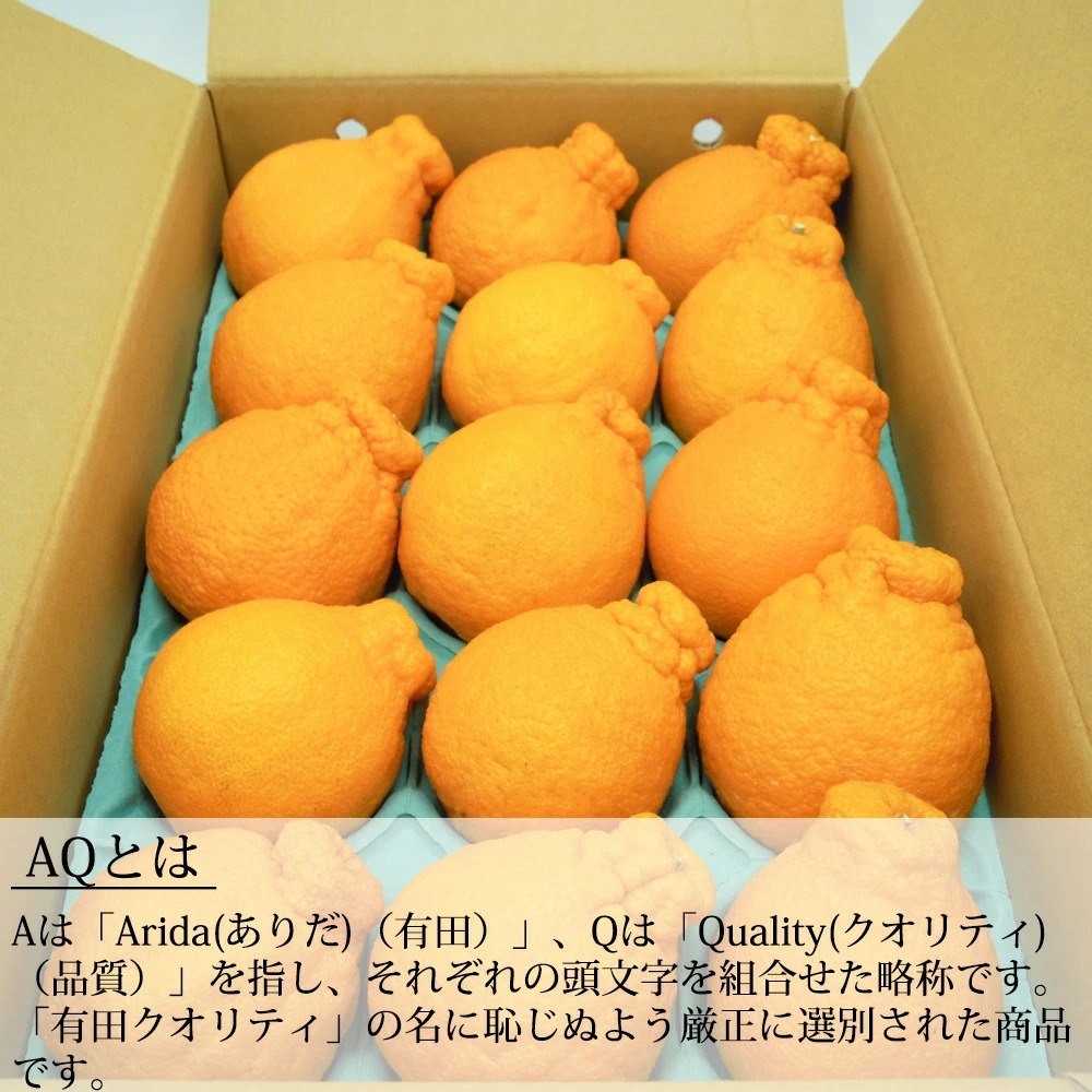 DN6012n_和歌山県産 AQ デコポン 5kg 秀品 (12～24玉)