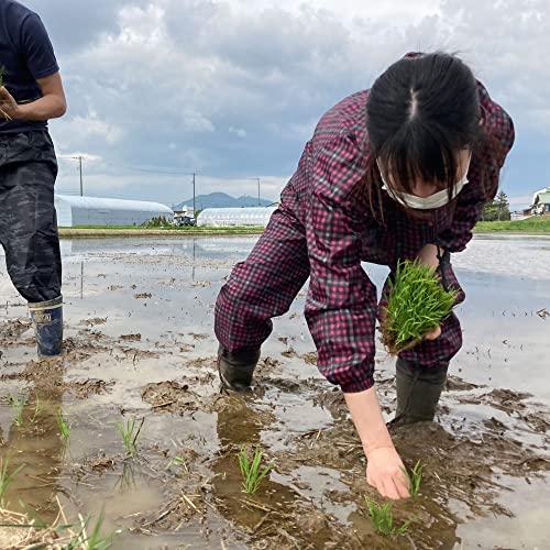 新米 秋田県産 農家直送 きぬのはだ もち米3kg 令和5年産  古代米お試し袋付き