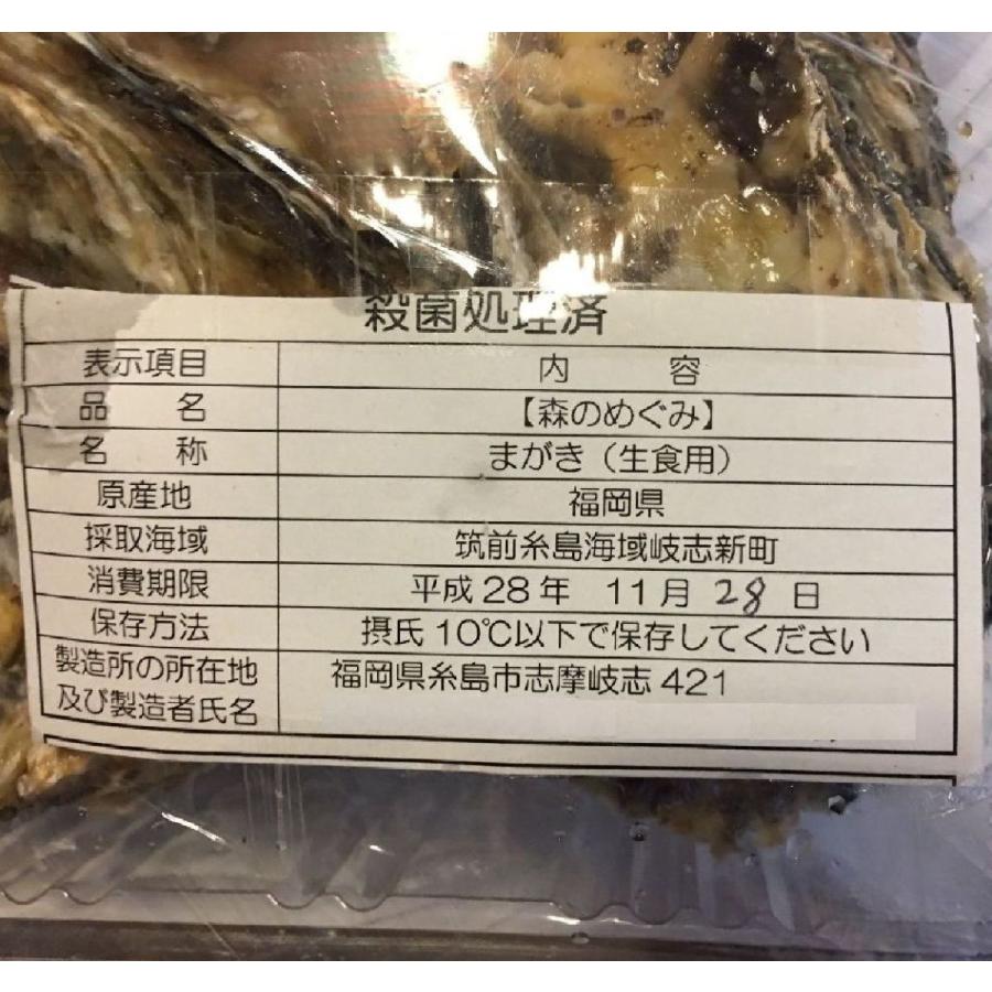 殻付カキ　約１Ｋｇ（１2個前後）　福岡産